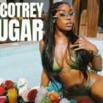 cocotrey - sugar cover art
