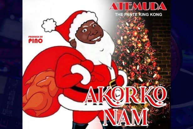 Atemuda - Akorko nam cover image