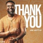 Joe Mettle - Thank You cover image