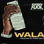 Kweku Flick - Wala cover image