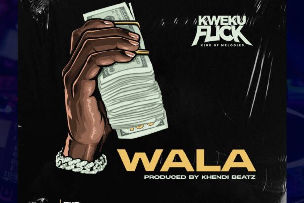 Kweku Flick - Wala cover image