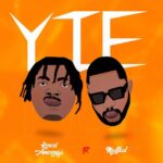 Kwesi Amewuga - YIE cover image