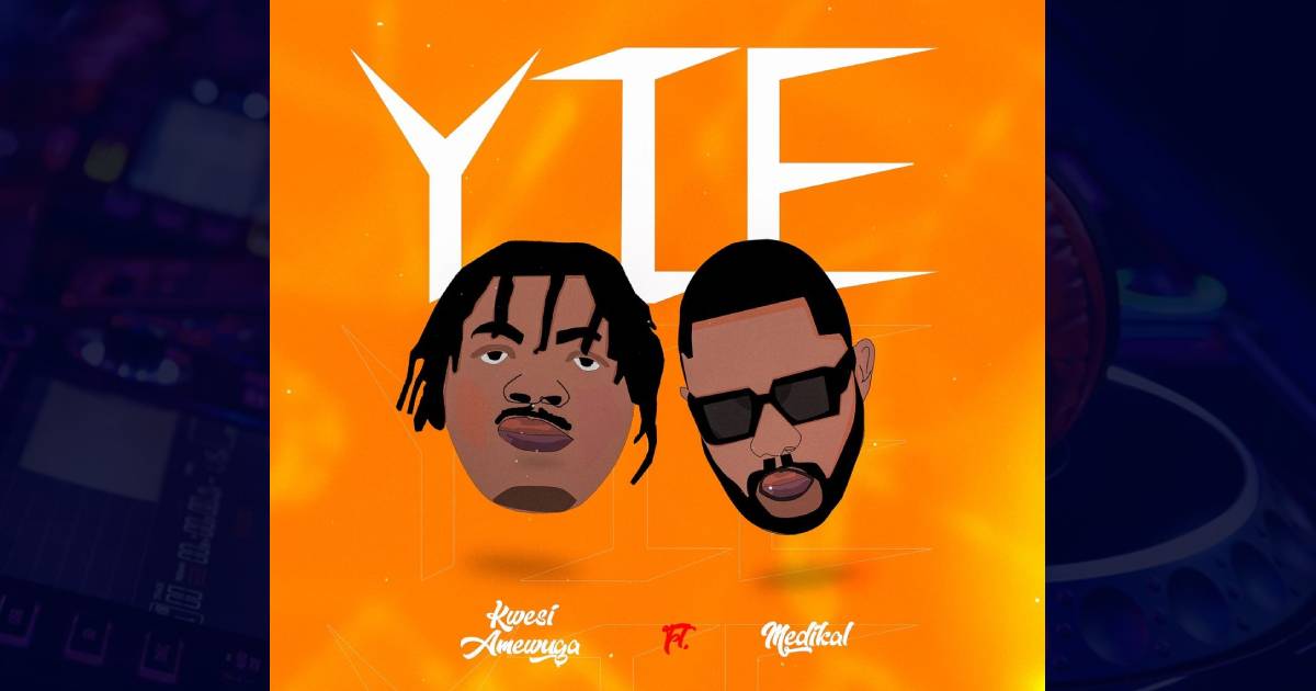 Kwesi Amewuga - YIE cover image