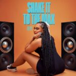 Moliy - Shake It To The Max cover art image
