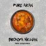 Pure Akan - Bronya Nkwan cover image