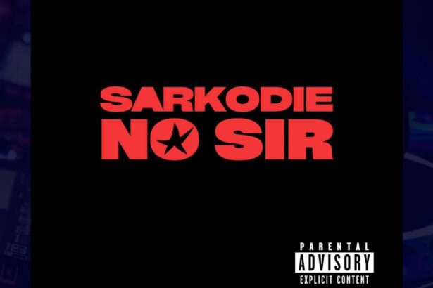sarkodie - no sir cover art image