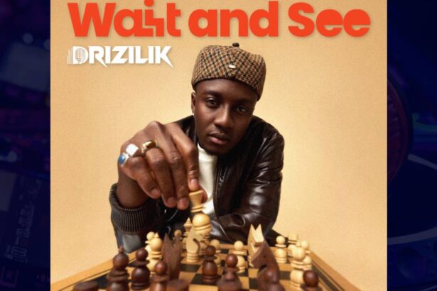 Drizilik - Pull Up cover image