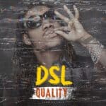 DSL Quality Freestyle cover image