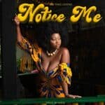 Ess thee Legend - Notice Me cover image