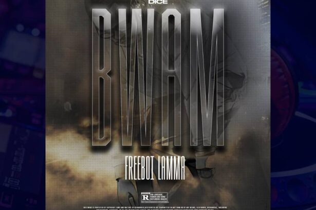 Freeboi Lamma - Bwam cover image