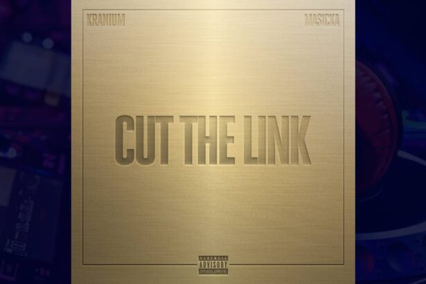 Kranium Cut The Link cover image