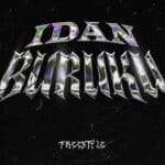 Olamide - Idan Buruku cover image