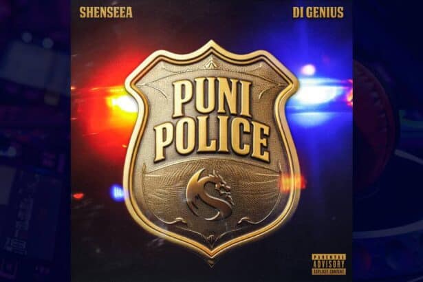Shenseea - Puni Police cover image