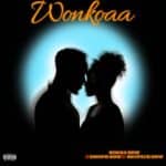 Sokka SDW - Wonkoaa cover image
