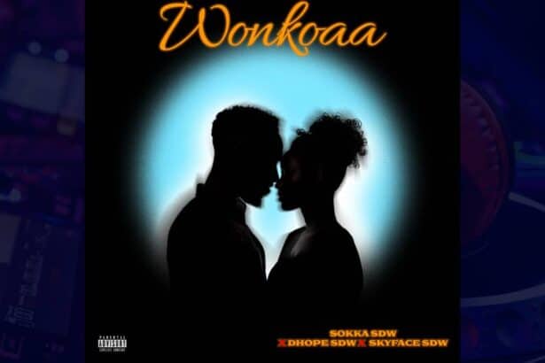 Sokka SDW - Wonkoaa cover image