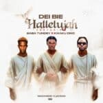 Dei bie - Hallelujah cover image