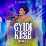 Piesie Esther - Gyidi Kese cover image