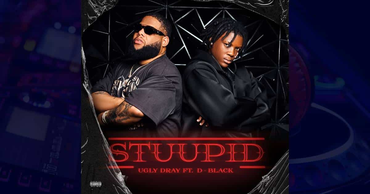 Ugly Dray - Stuupid cover image