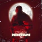 Wiz Child - Nintam cover image