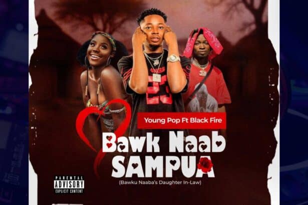 Young Pop - Bawk Naab Sampua cover image