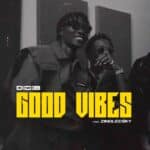 Didi B - Good Vibes cover image
