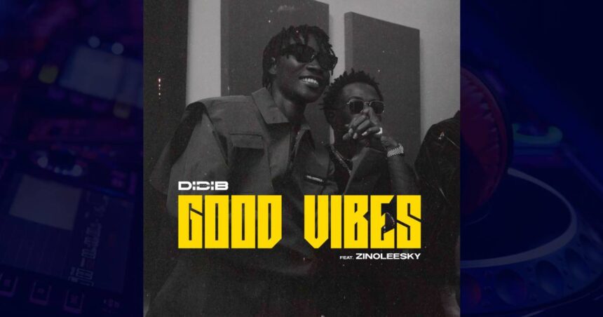 Didi B - Good Vibes cover image