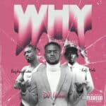 DJ Ikon - Why cover image