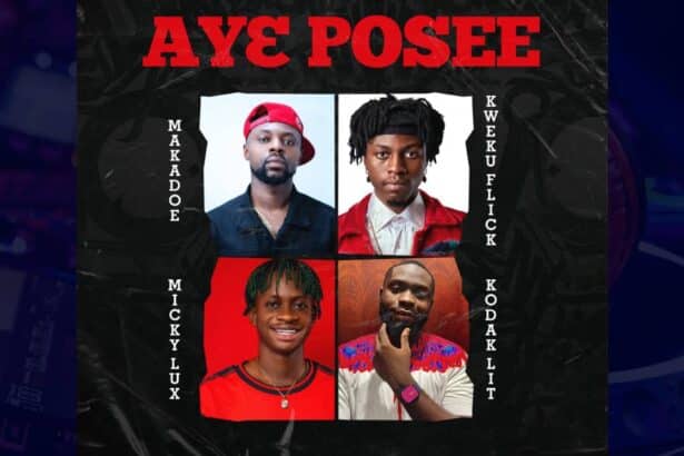 Makadoe - Aye Posee cover image