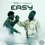 Paul Noun - Easy cover image