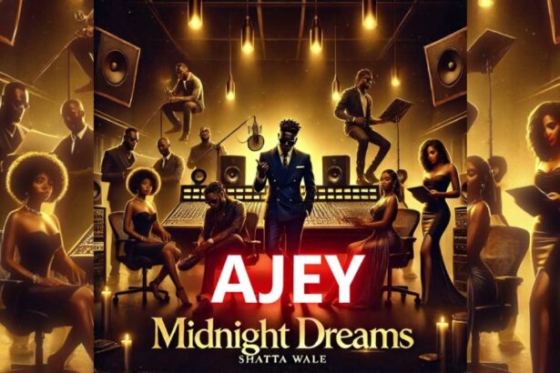 Shatta Wale - Ajey cover image