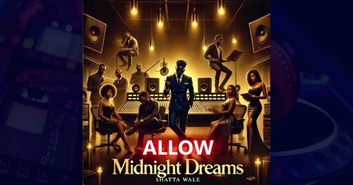 Shatta Wale - Allow cover image
