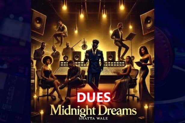 Shatta Wale - Dues cover image