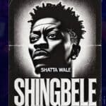 Shatta Wale - Shingbele cover image
