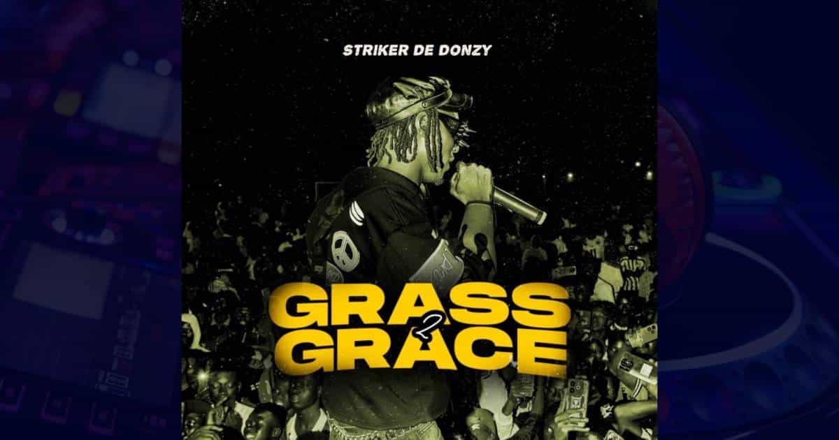 Striker De Donzy - Grass 2 Grace cover image