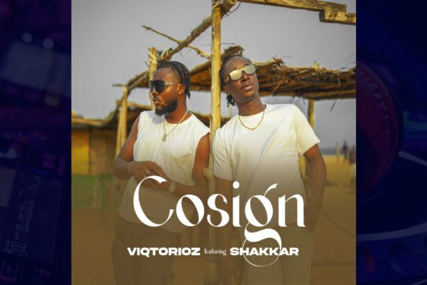 Viqtorioz - Cosign cover image