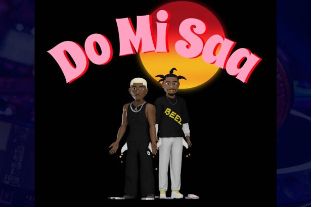Rjz - Do Mi Saa cover image