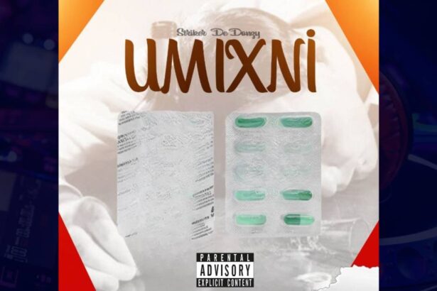 Striker De Donzy - UMIXNI cover image