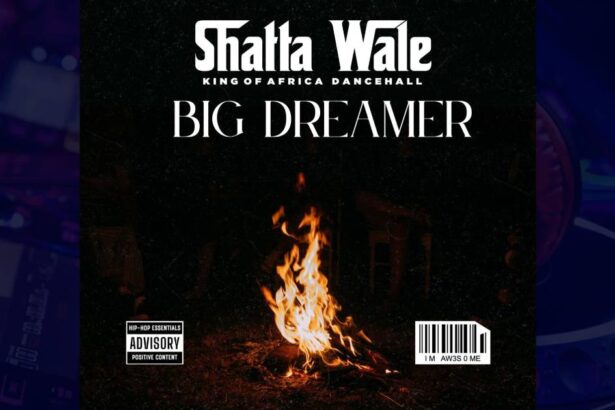 Shatta Wale - Big Dreamer cover image