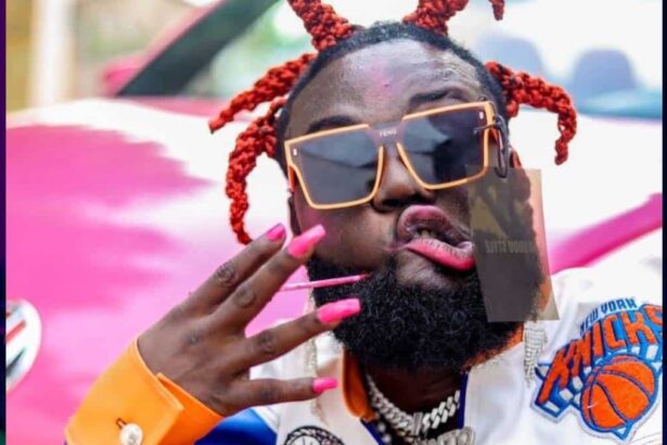 Dr Bawumia 10 Million Dollars