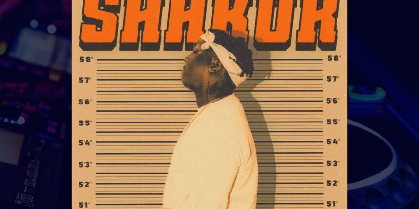 T.I blaze - mario cover art