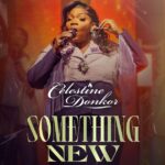 Celestine Donkor - Something New cover image