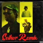 DarkoVibes - Seihor Remix cover art image