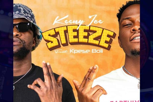Keeny Ice - Steeze cover art image
