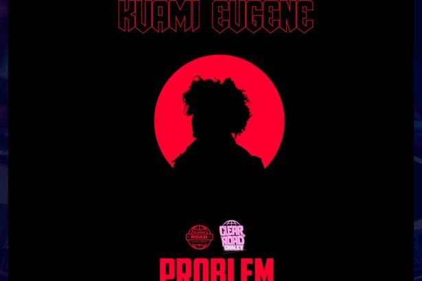 Kuami Eugene - Problem Groovy Version cover image