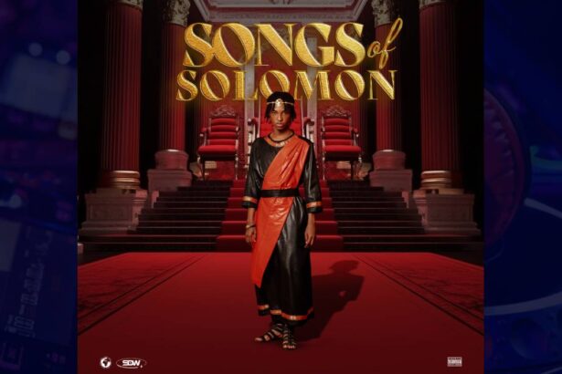 Skyface Sdw - Puma Me cover image