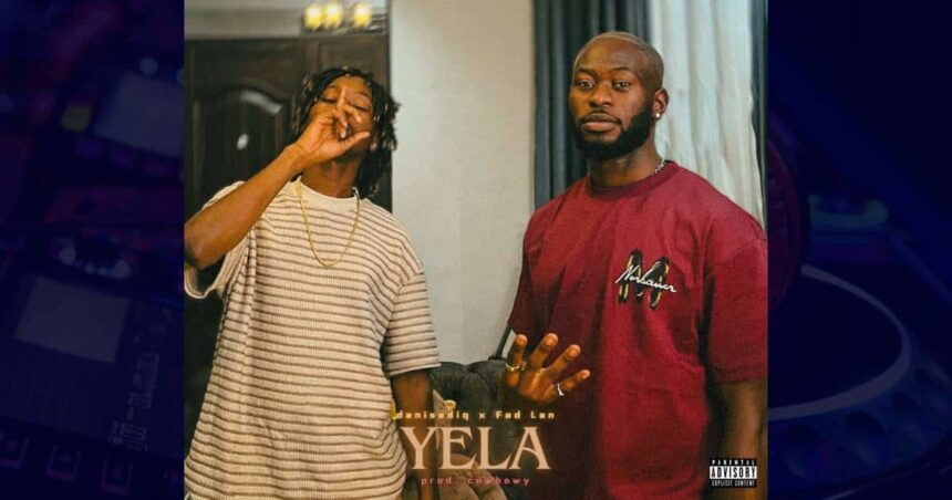 Danisadiq - Yela cover image