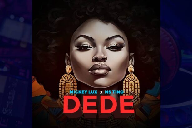 Mickey Lux - Dede cover image