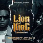 Rekordz - Lion King (Beast Mode) cover image