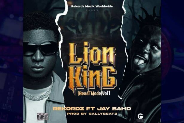 Rekordz - Lion King (Beast Mode) cover image