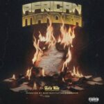 Shatta Wale - African Mandiba cover image